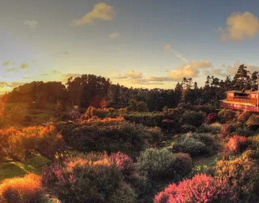 Plan the Perfect Fall Getaway: Why Stanford Inn & Resort is the Ultimate Pet-Friendly, Family-Friendly Destination