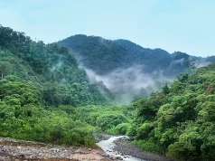 Exploring the Rainforest: Where to Stay in Costa Rica Rainforest in Costa Rica