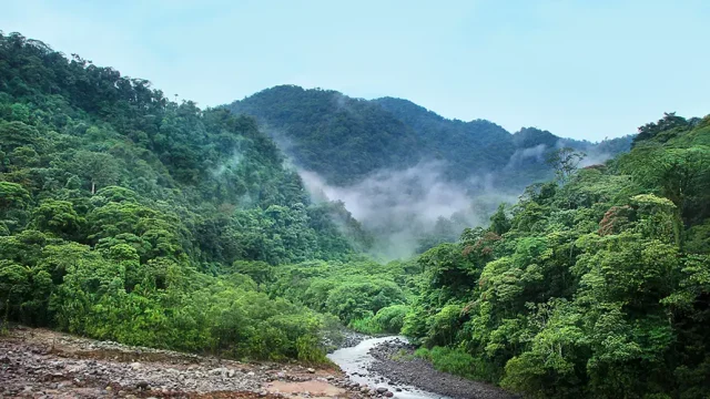 Rainforest in Costa Rica