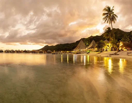 The Holidays in Tahiti? Yes, Please!
