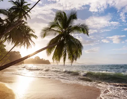 Making the Most of Your Costa Rica Vacation Beautiful tropical Pacific Ocean beach in Costa Rica