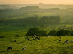 5 Great Places to Enjoy a Countryside Break in the UK