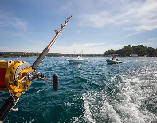 The Boom of the Fishing Tourism Industry