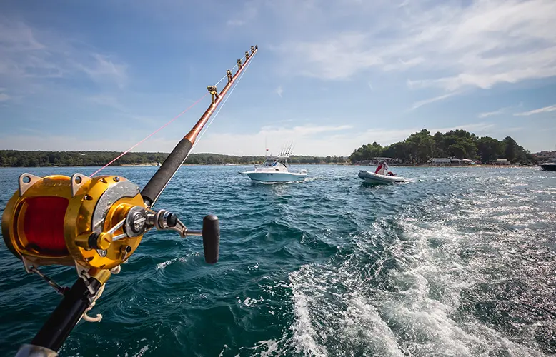 The Boom of the Fishing Tourism Industry