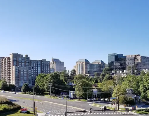 Reston’s Fall Festivities: Events & Activities for the Season