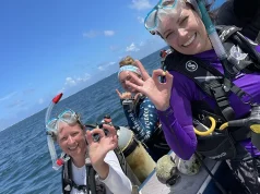 Turtle Sanctuary Island Runs Solely On Clean Energy