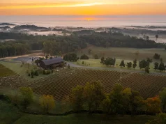 Charlottesville Virginia Named Wine Region of the Year in Wine Enthusiast’s 2023 Wine Star Awards