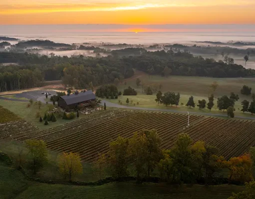Charlottesville Virginia Named Wine Region of the Year in Wine Enthusiast’s 2023 Wine Star Awards