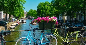 How a boat tour changes your perspective on Amsterdam’s canals