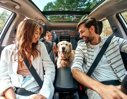 How CBD Treats Can Promote a Calm and Relaxed Dog: Insights The whole family is driving for the weekend. Mom and Dad with their daughter and a Labrador dog are sitting in the car.