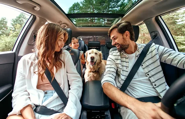 The whole family is driving for the weekend. Mom and Dad with their daughter and a Labrador dog are sitting in the car.