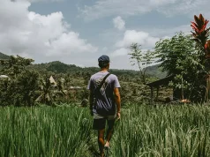 Eco-Friendly Accommodation: How To Reduce Your Carbon Footprint