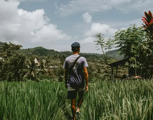 Eco-Friendly Accommodation: How To Reduce Your Carbon Footprint