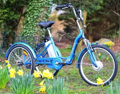 Tripling the Travel Fun: How 3-Wheel Electric Bikes Are Changing the Game