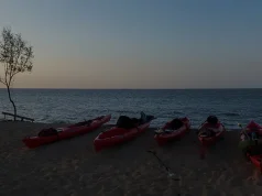 Suriname Travel Guide: What to See, Do & Costs