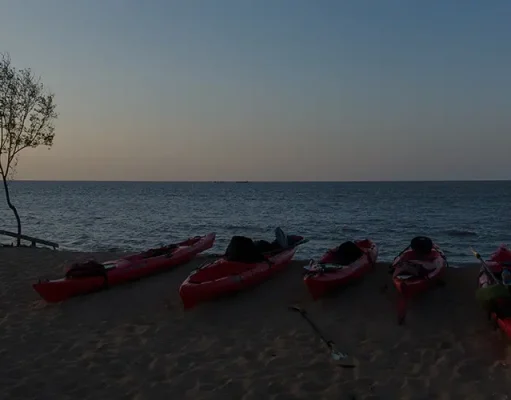 Suriname Travel Guide: What to See, Do & Costs