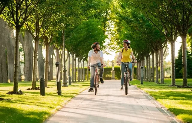 Young couple cycling bikes on sunny day