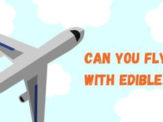 Can You Fly with Edibles? What’s the Risk?