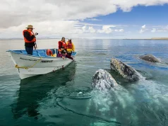 Winter Adventures in Baja California Sur