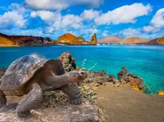 Explore the Galapagos Islands & Amazon Rainforest on this Unique 11-Day Tour