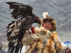 Wild things: a comprehensive guide to Kazakhstan’s wildlife