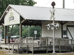 What is the Culture Like in Lutz, FL?