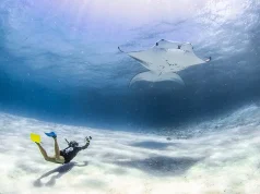 InterContinental Maldives Maamunagau Resort Announces Third Manta Retreat Taking Place in March 2024