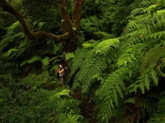 5 Must-Experience Moments in Tenerife