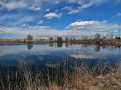 A Local’s Guide to Things to Do and Events in Englewood, CO