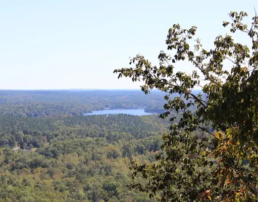 7 Things To Do In Albemarle, NC