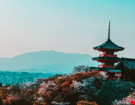 The Best Japan Winter Tour 2023