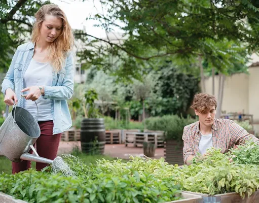 Garden Tool Storage in Urban Spaces Young man and woman tending to plants in wooden troughs, young woman water plants using watering can