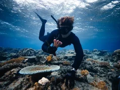 Fiji – Coral Gardeners Offer Sustainable Alternative to Roses this Valentine’s Day