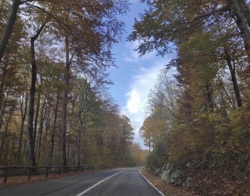 Navigating Croatia’s Roads with Ease: Unveiling the E-Vignette System