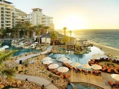 Whale Watching Experiences in Los Cabos with Solmar Hotels & Resorts