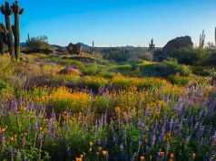 What’s New in Scottsdale, Arizona this Spring