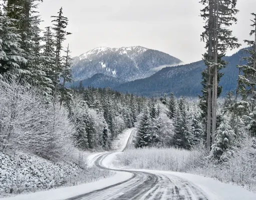 Chasing Snowflakes – Your Alaska Winter Travel Companion Beautiful snowy road in Alaska