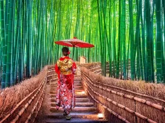 Add Japan to Your Travel List for 2024