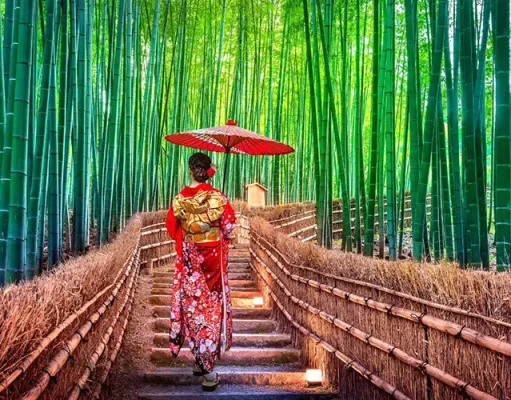 Add Japan to Your Travel List for 2024