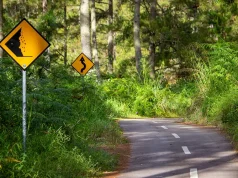 Demystifying Personal Safety: Your Key to Fearless Traveling