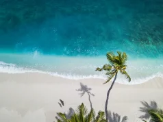 Tropical Temptations: Island Adventures and Accommodations in a Beautiful Setting