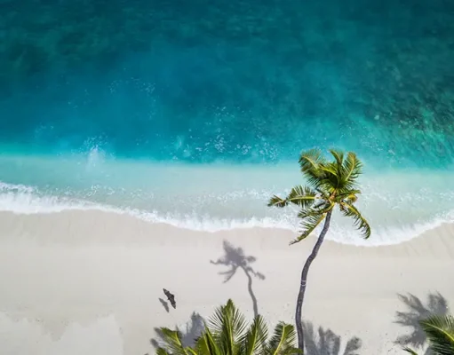 Tropical Temptations: Island Adventures and Accommodations in a Beautiful Setting