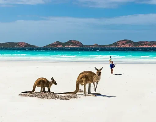 What’s New in Western Australia for January 2024