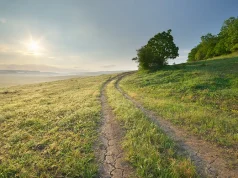 Painting the Path Less Traveled: Artistic Adventures in Remote Destinations Road lane and deep blue sky at morning