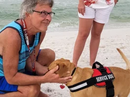 Service dog on duty greets people on the beach in morning routines with ocean waves in background