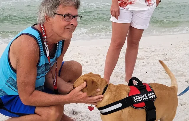 Service dog on duty greets people on the beach in morning routines with ocean waves in background