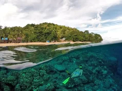 Journey Through Banda’s Waters with Explorer Lawrence Blair