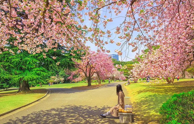 Spring In April Spring Blooms: Exploring the World's Most Stunning Flower Spots