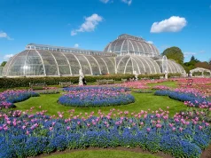 Bloom into Spring: Exploring the World’s Most Stunning Flower Spots