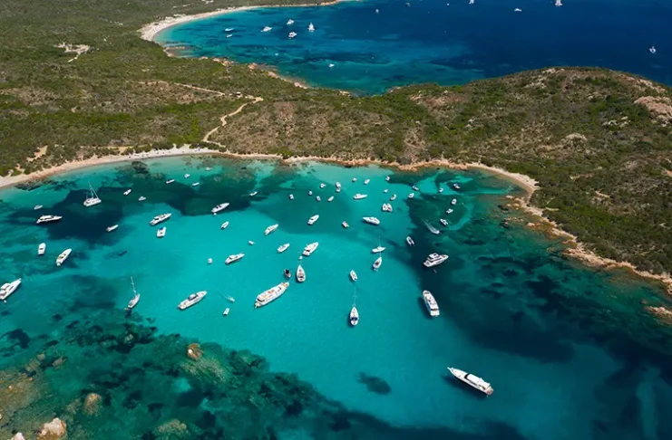 a group of boats ready for Yacht Week in Sardinia over 40
